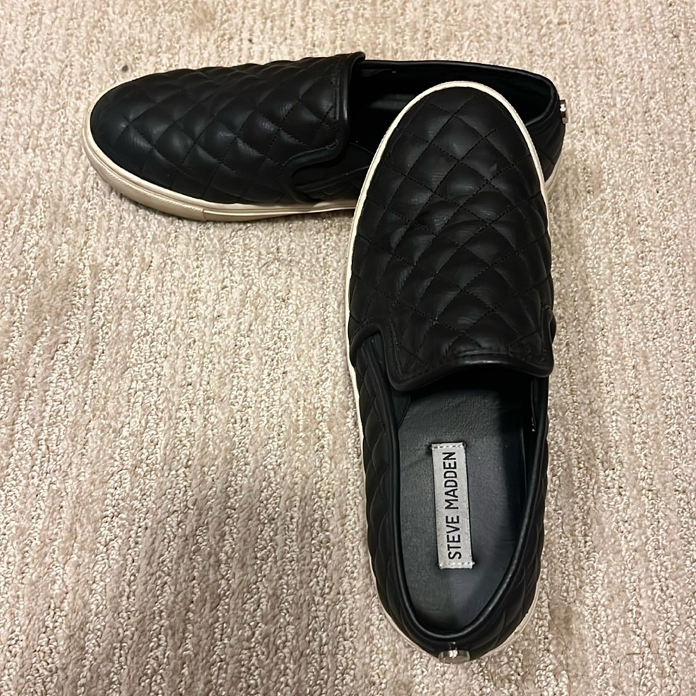 steve madden ecentricq slip on shoes